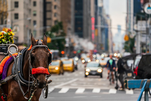 NYC 2019-06254