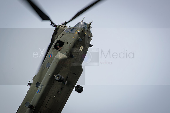 RIAT 2016-8591